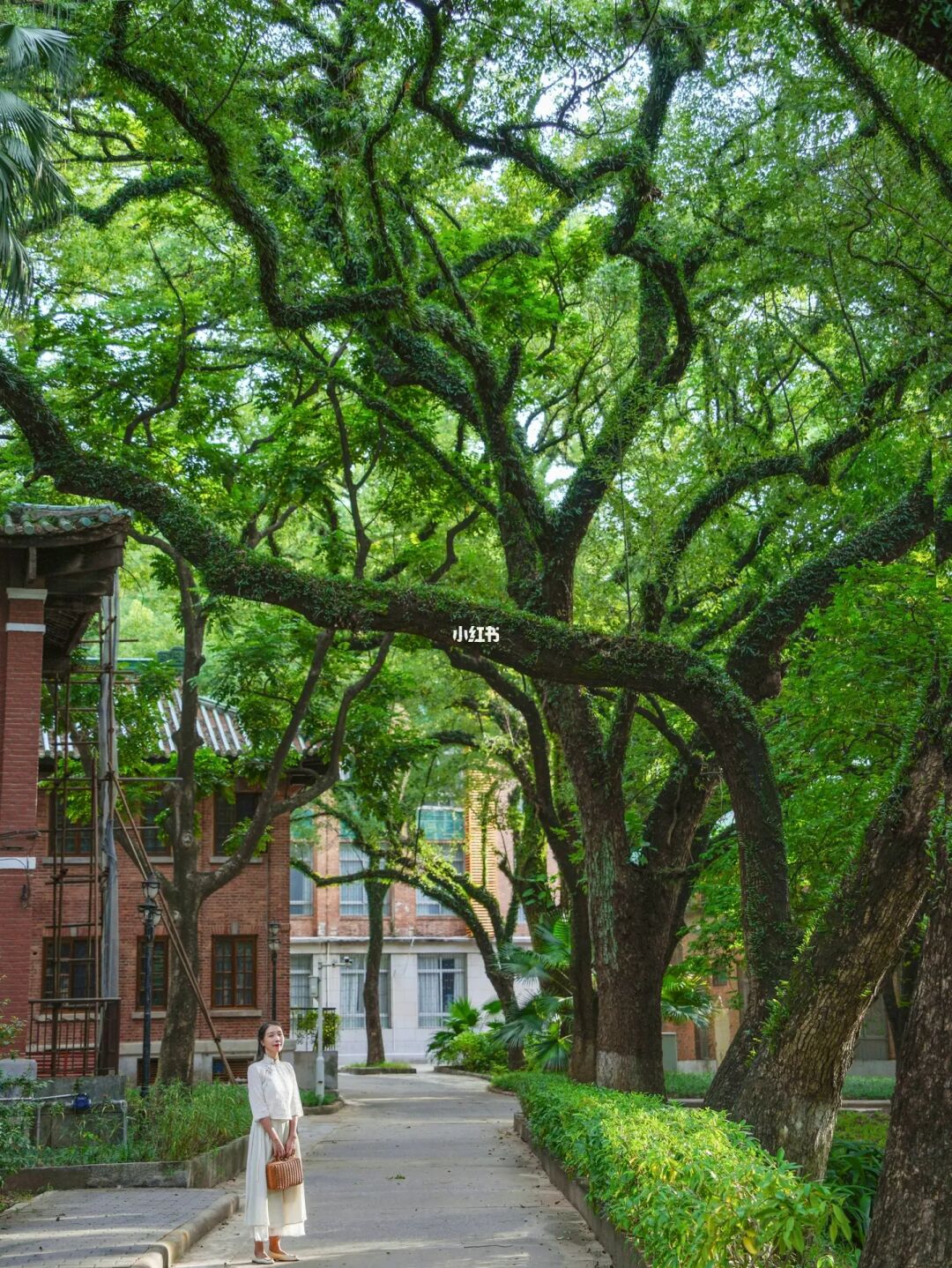 天呐‼️广州蕞美大学，一步一景太好看了