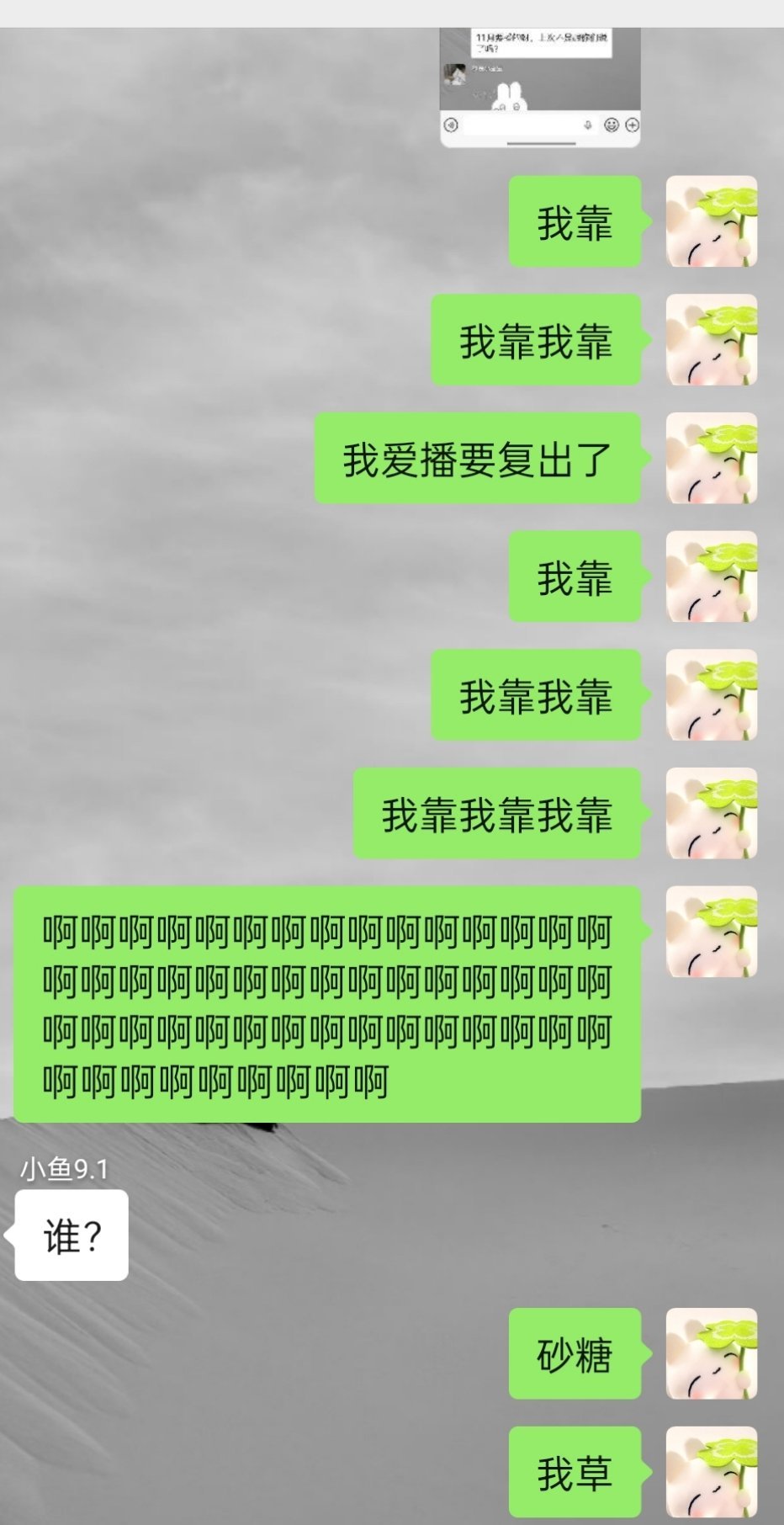 去年今日。。然后她不播了[单身狗]结果在今年这个时候又要复播 哎呀我好开心呀 ​