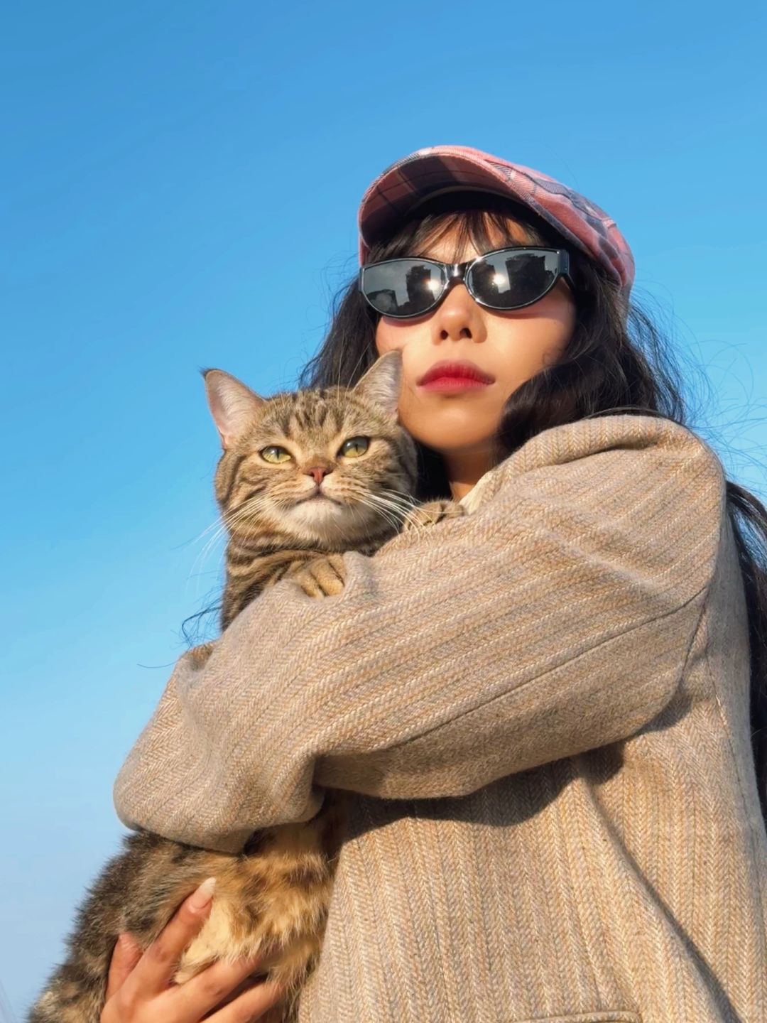 如何带猫咪外出拍出大片感