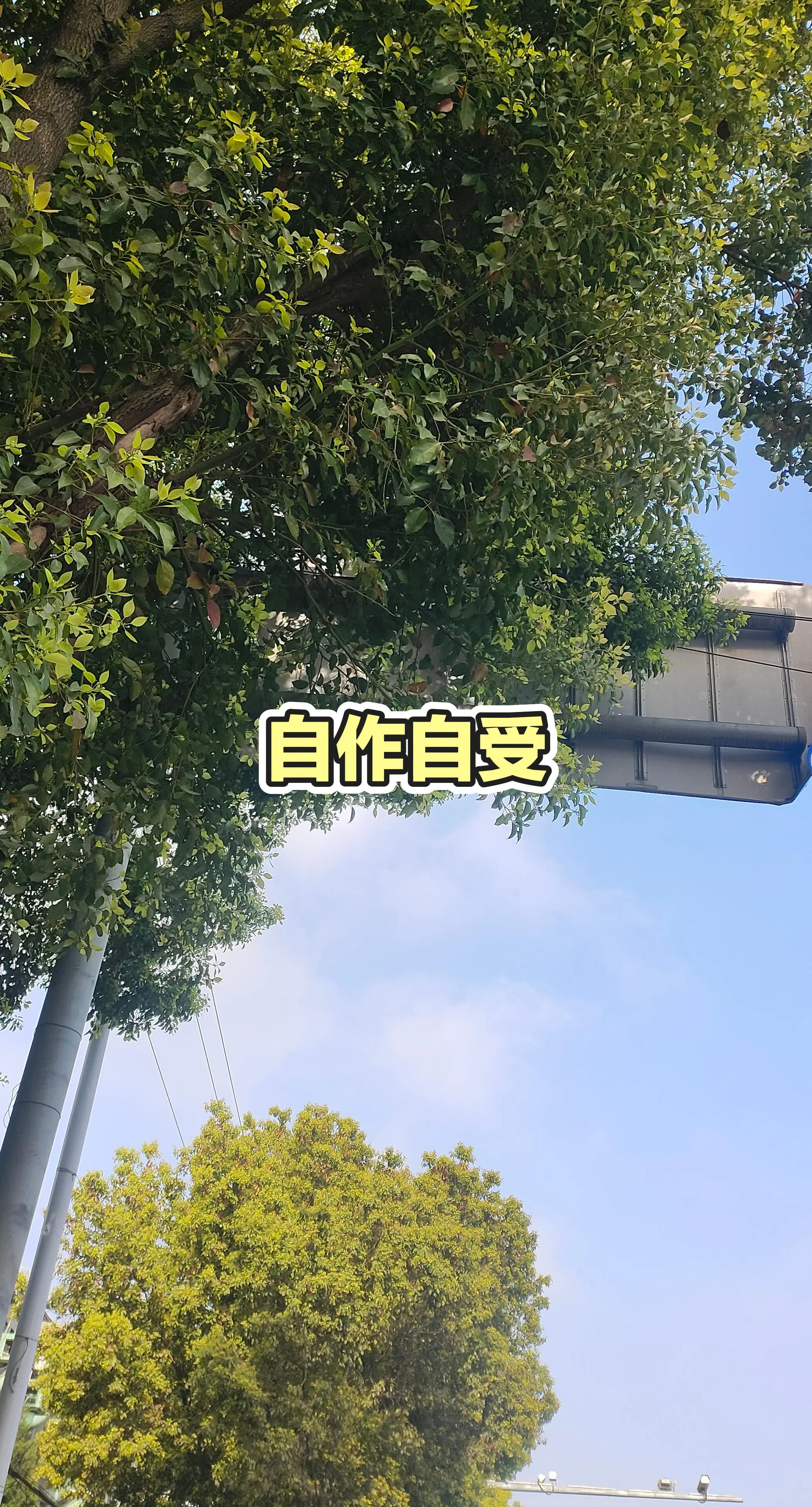 每日分享