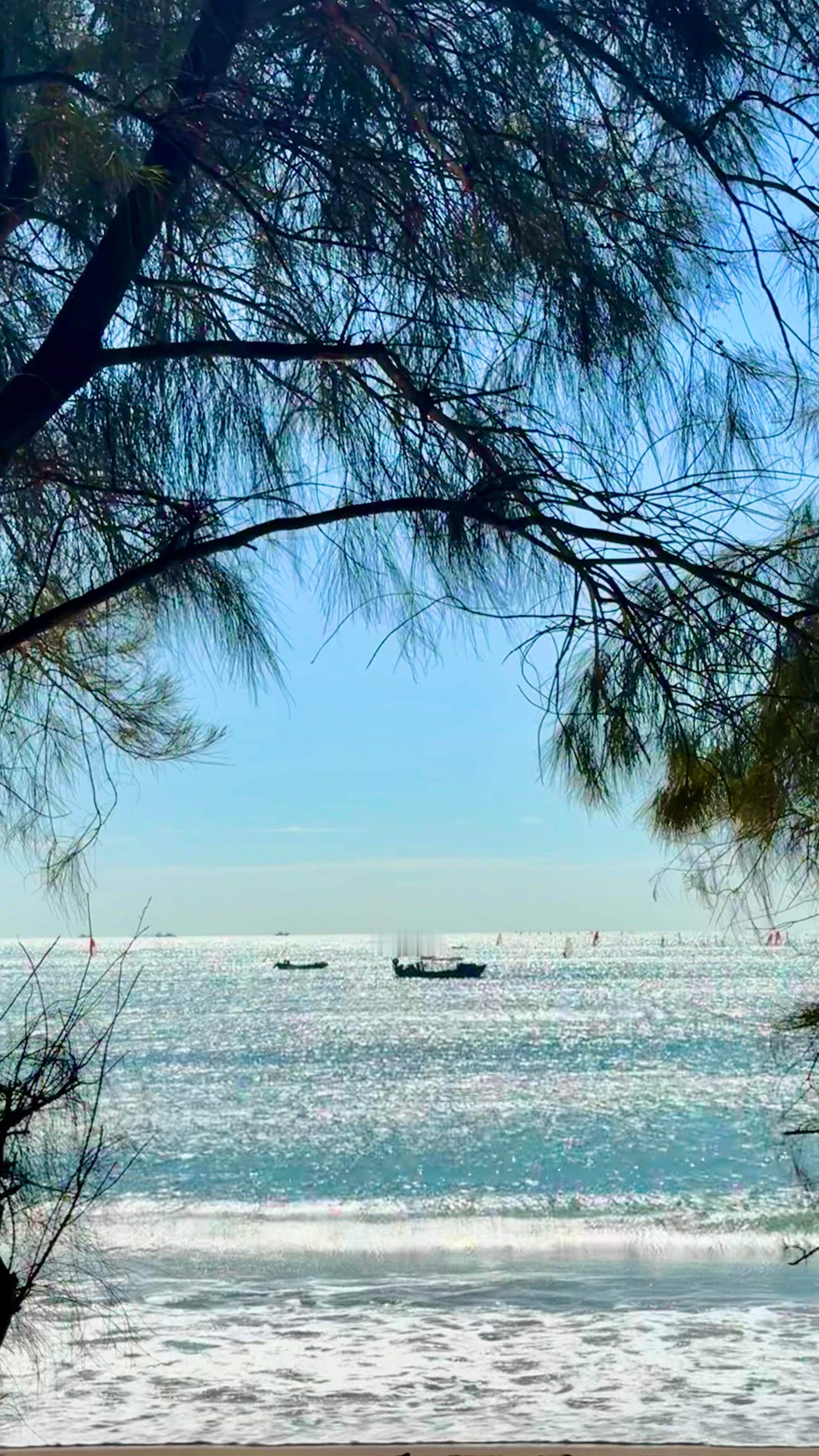 东山岛的夏天没完没了从五月开始美妙的夏天一直到现在 