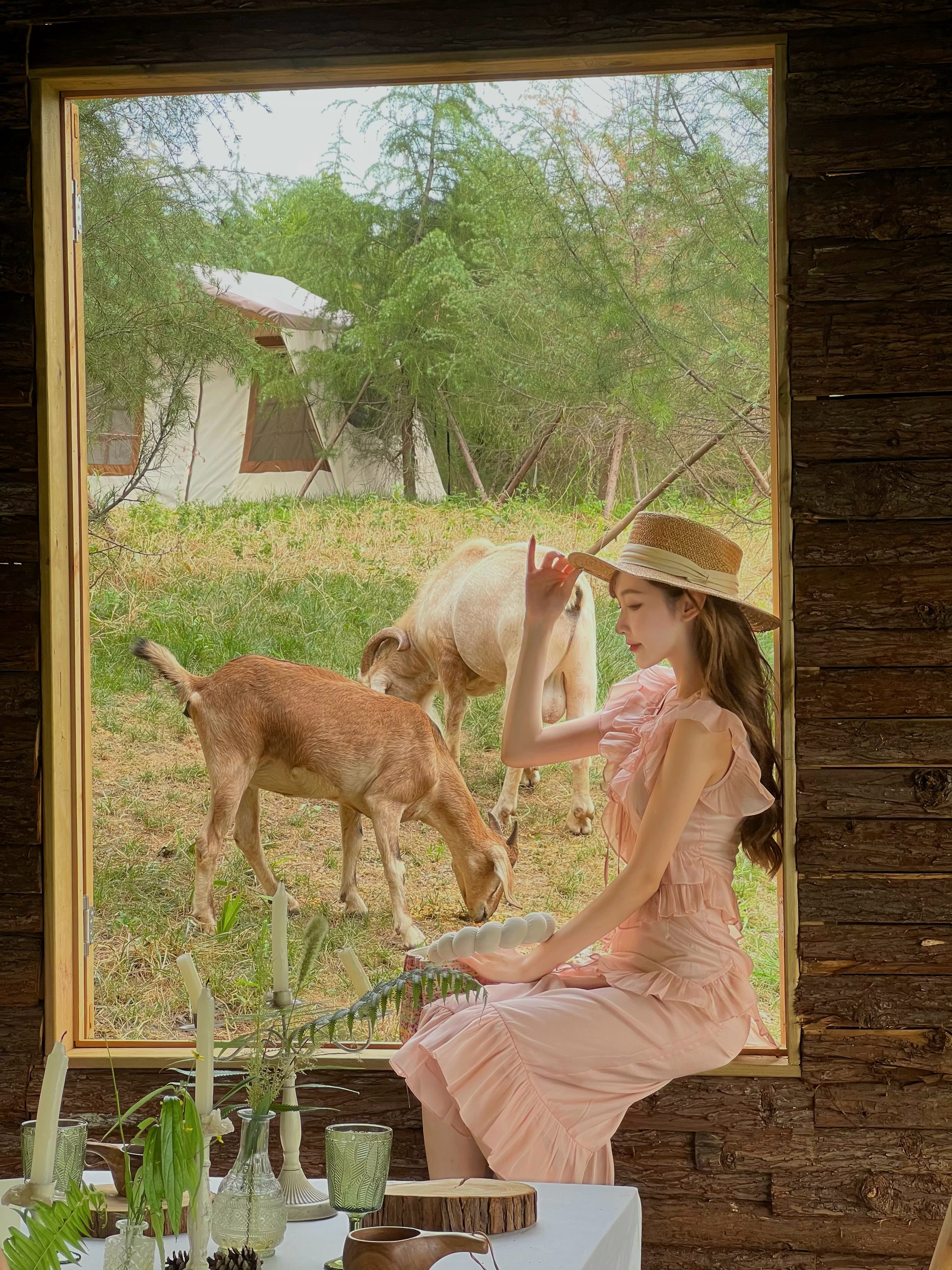 那就住进画里吧🖼  ​​​