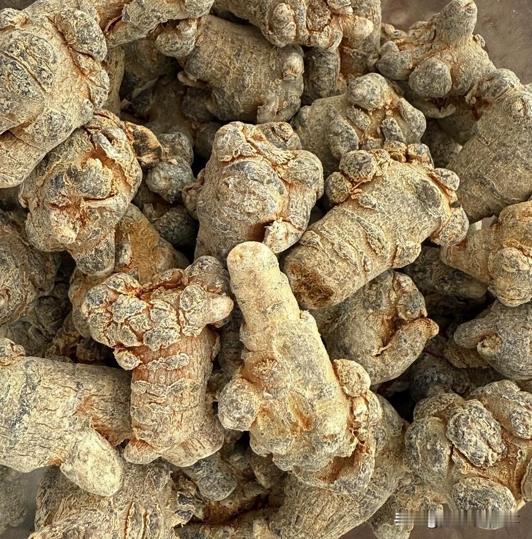 药材种植是否有发展前景?2026年还在纠结种啥？药材种植这波红利，错过拍大腿！