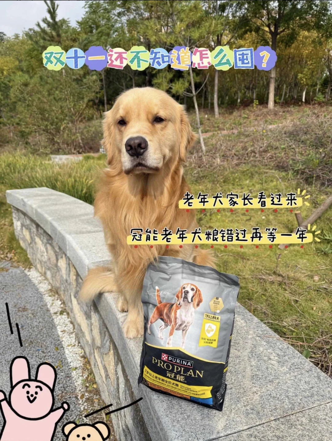 不是？双十一你还不知道给老年犬囤什么？