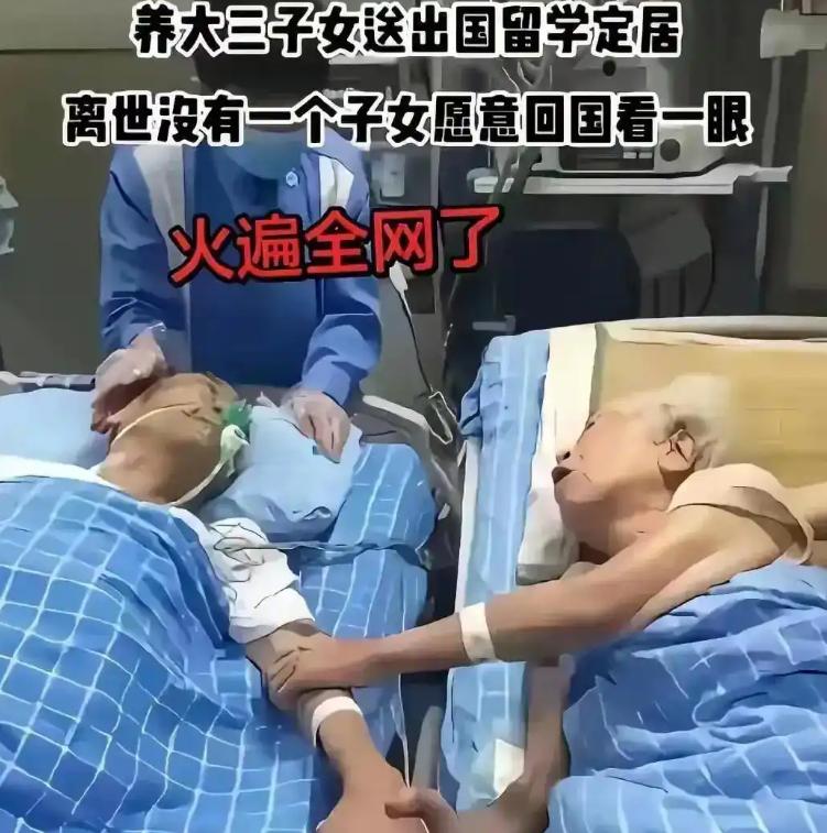 上海教授夫妇离世，三个博士子女远在国外没能回来送终
 
看到这篇报道心里真挺心酸