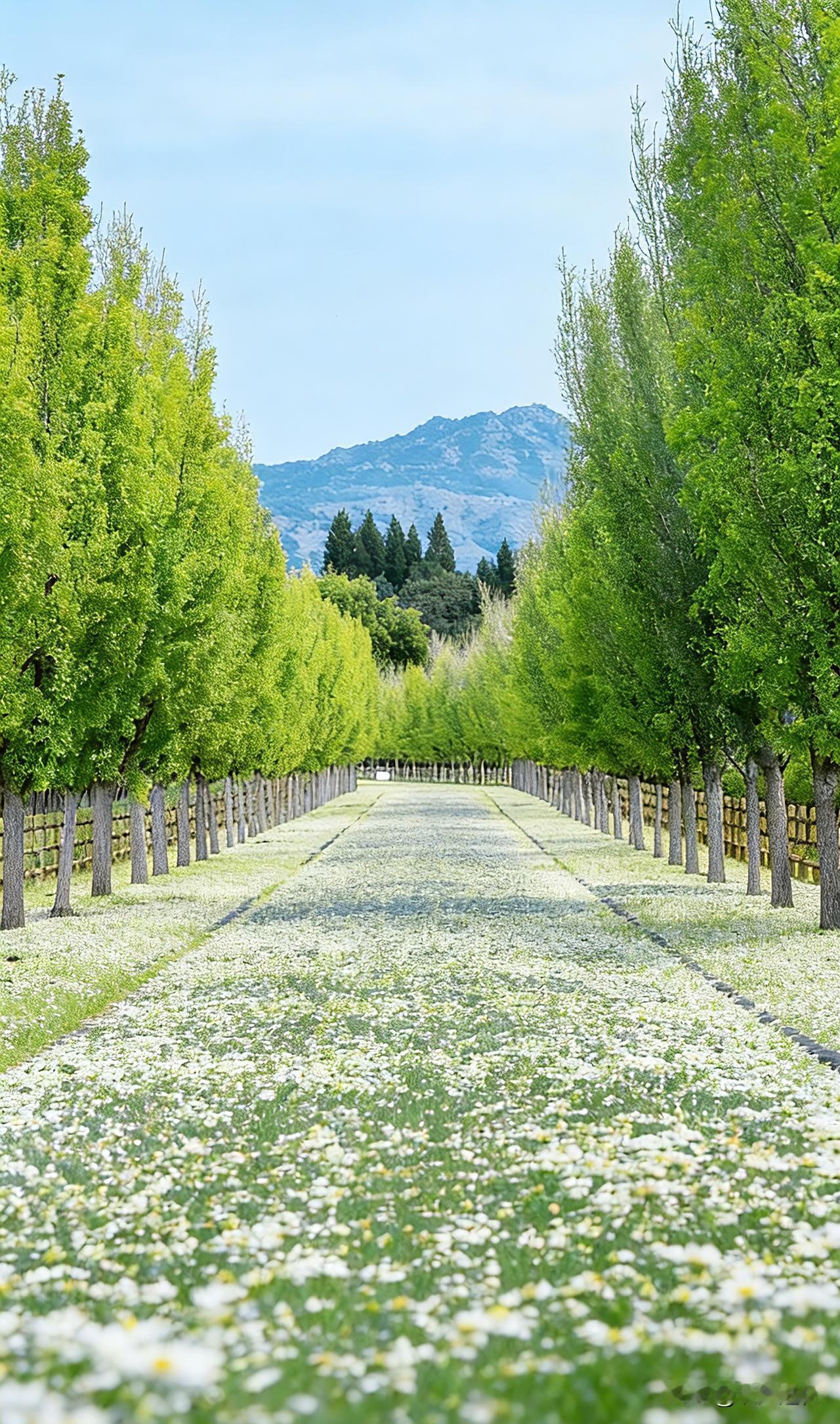 一位情感学家说：
“一个男人如果得不到这个女人的身体，他就不会爱这个女人。男人接