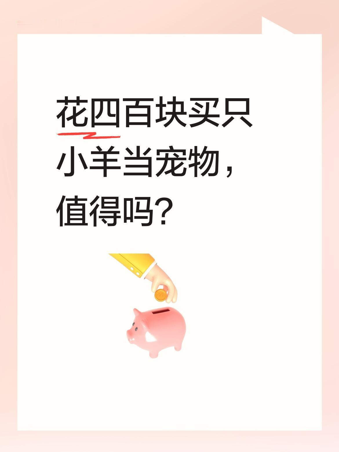 花四百块买只小羊当宠物，值得吗？
女生分享自己花400元买的小羊，镜头里小家伙松