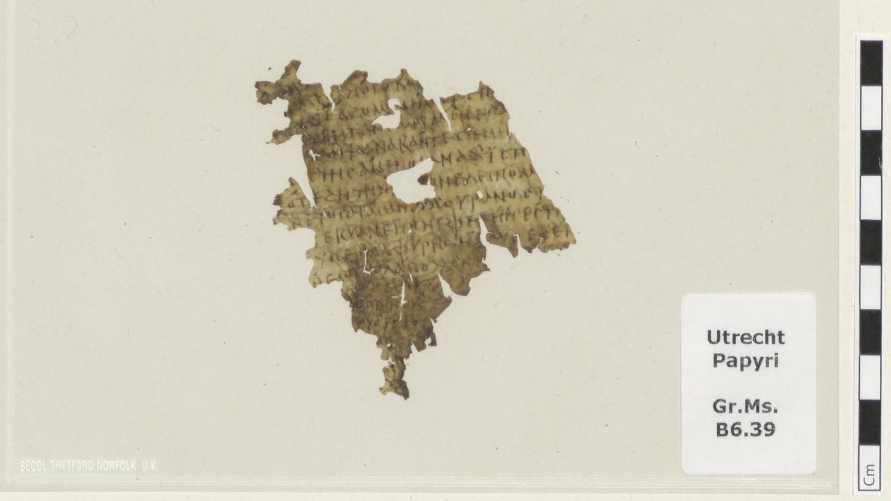 在荷兰一家图书馆的书籍页缝中发现了一块距今1700年的《奥德赛》残片
一位研究者