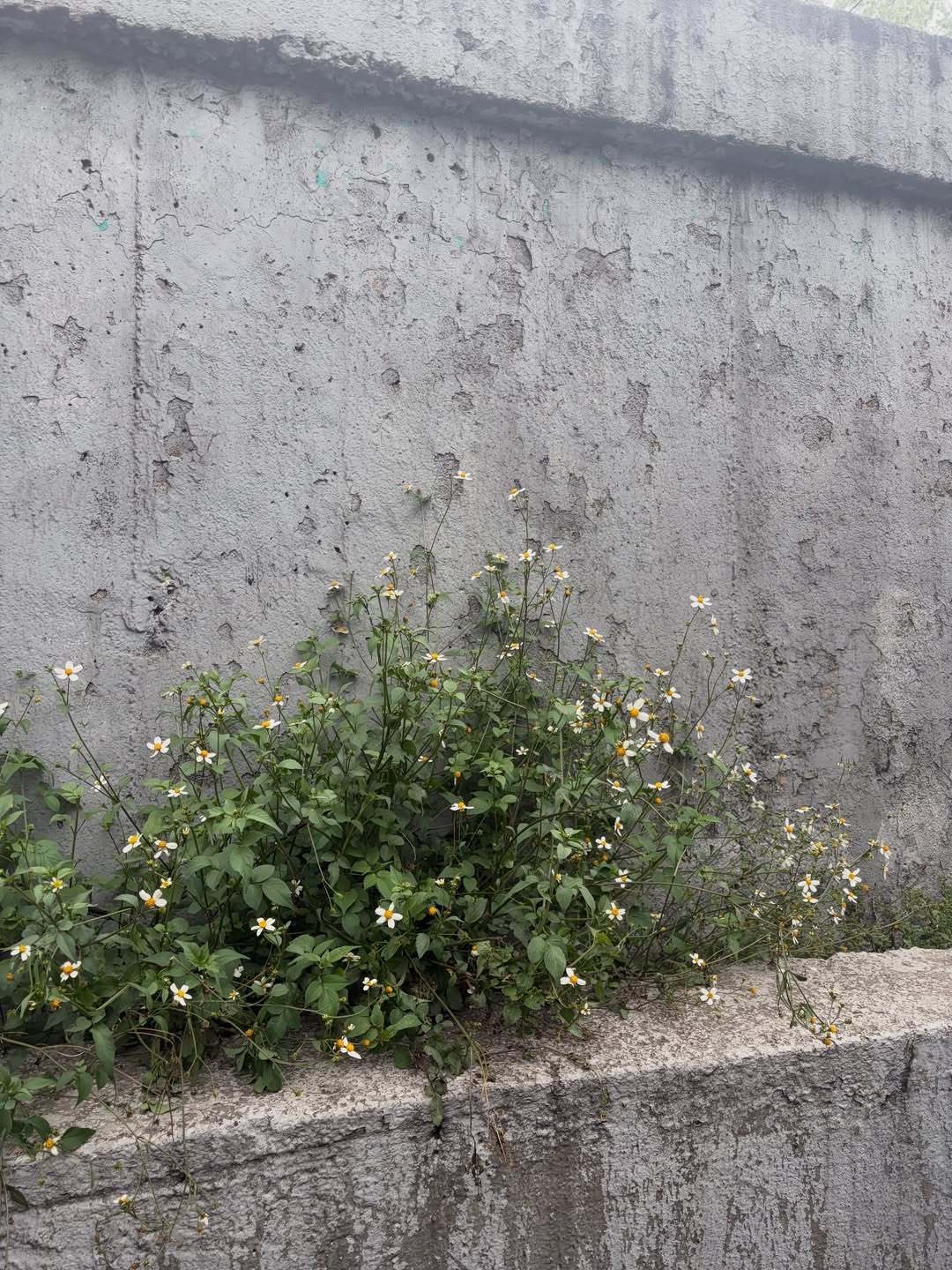 📸 ·🤍「🤍🧘🤍」 