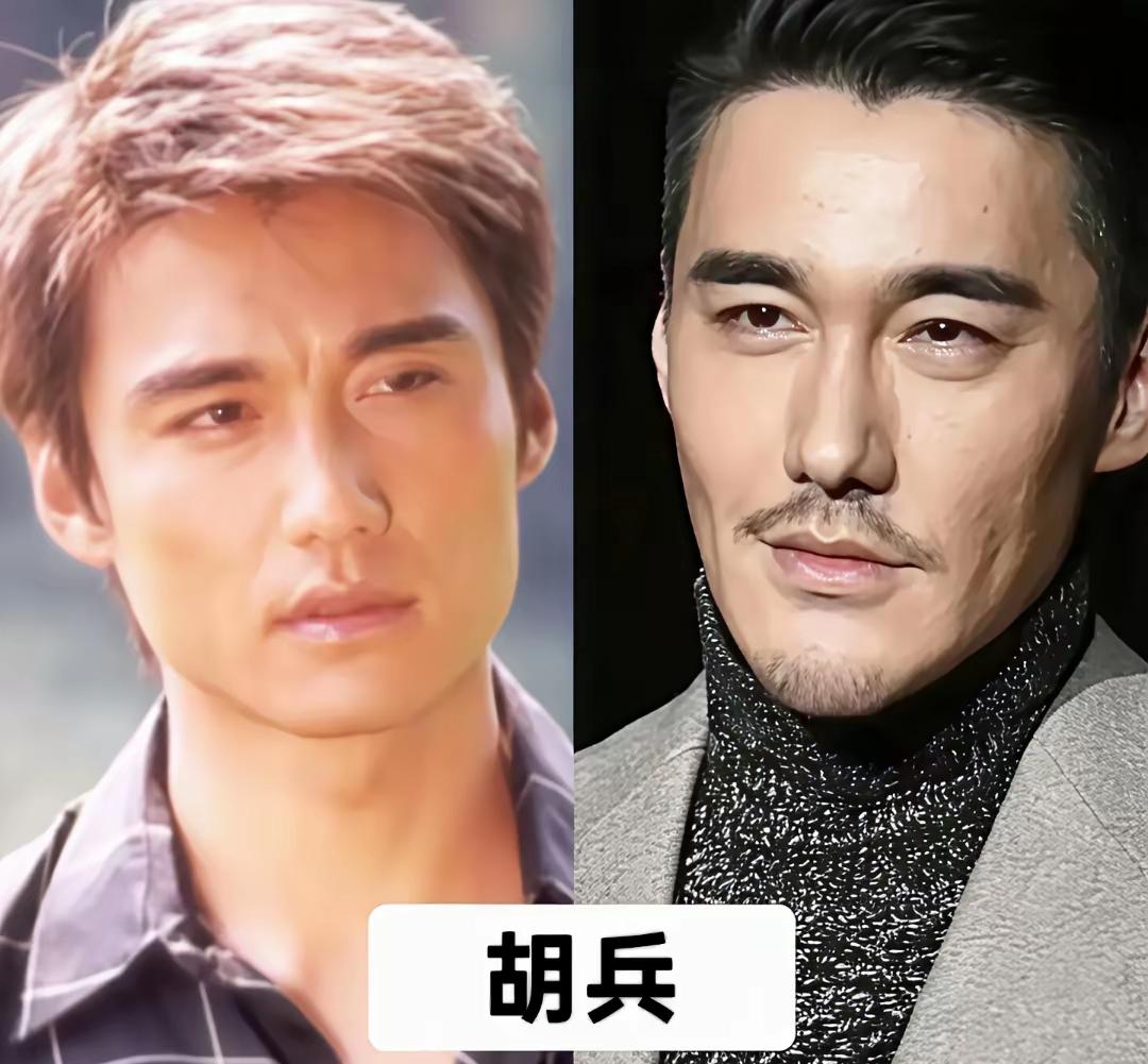 以前的胡兵帅还是现在的胡兵帅？胡兵的脸怎么从以前的圆脸变成了现在的大长脸了，年轻