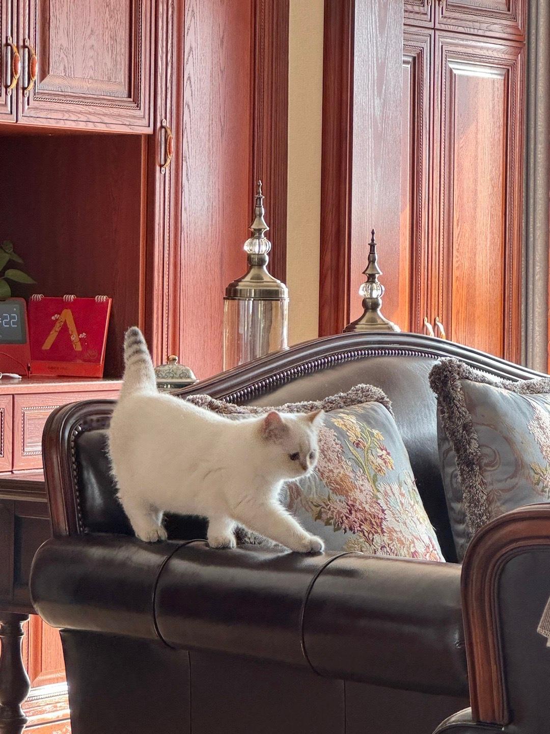 年末啦🙇🏻‍♀️ ​​​