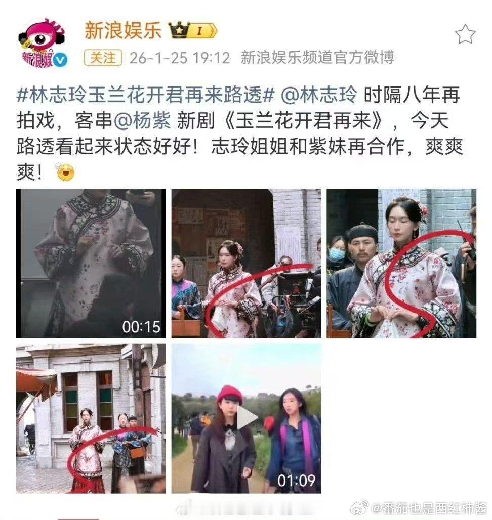 林志玲在拍玉兰花开君再来林志玲玉兰花开君再来戏份 林志玲拒绝文策院董事一职，不装