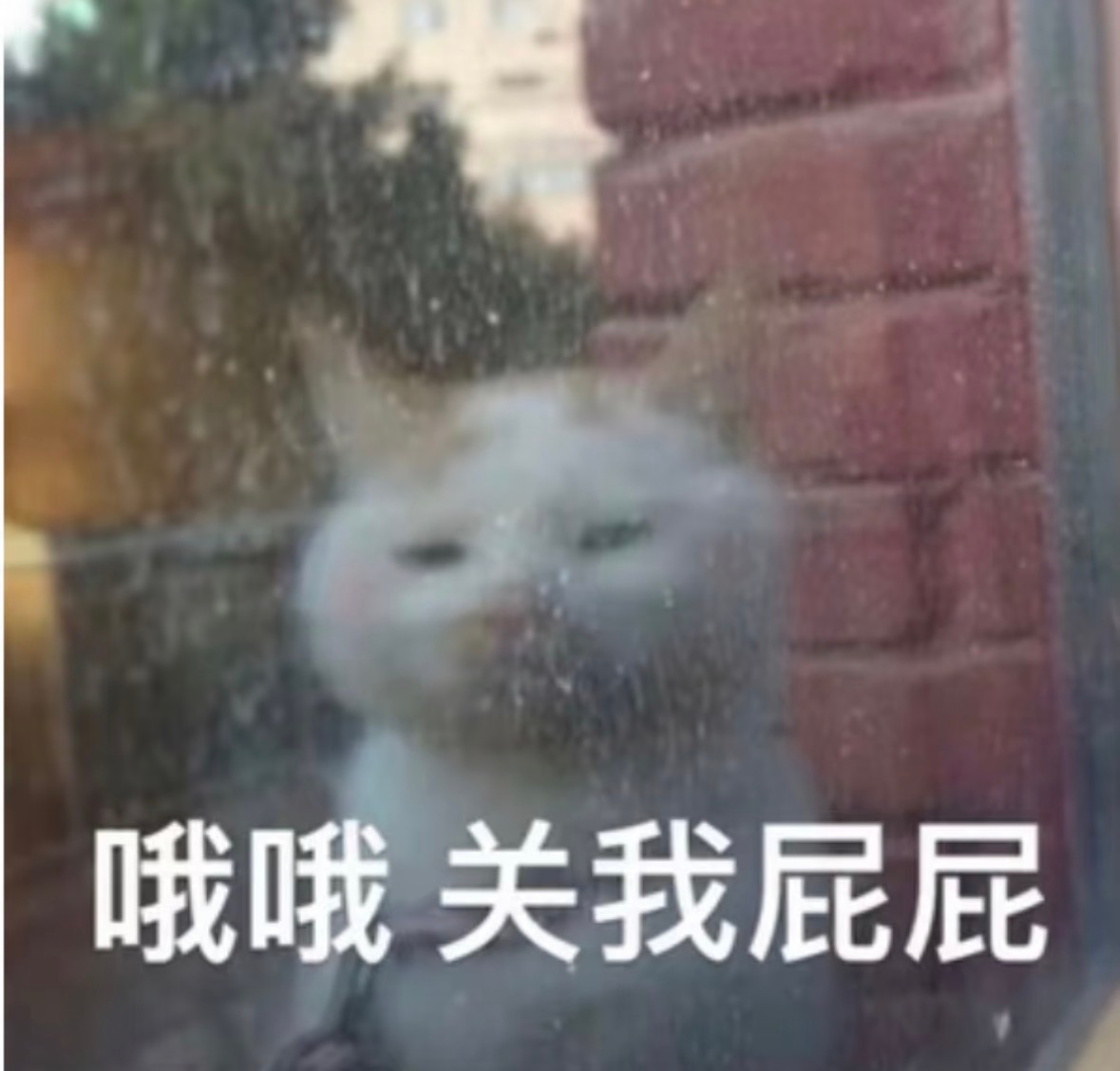 人物描写包含五大维度，要塑造一个圆形的人，就必须综合五大维度的得分，创造出的人物