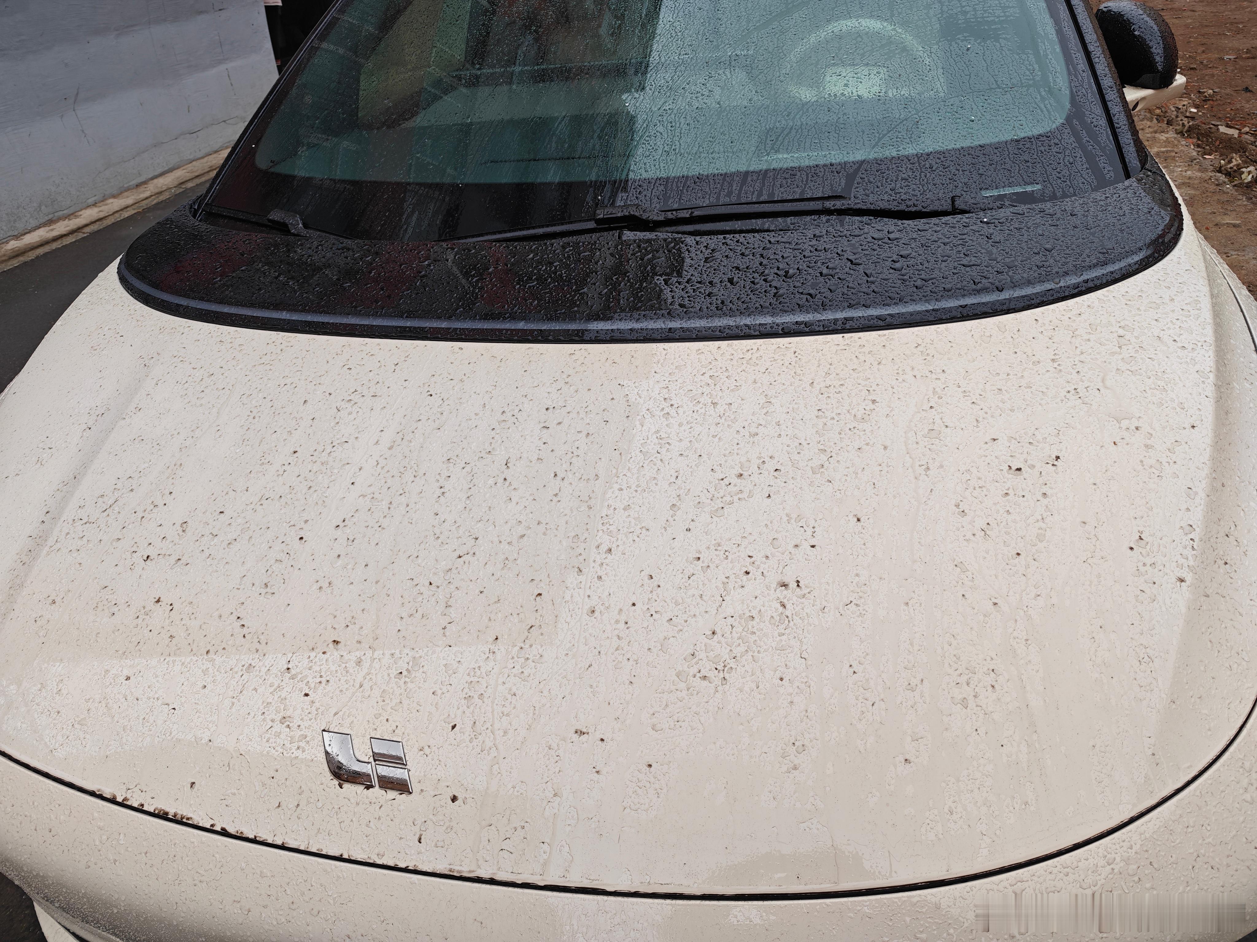 没想到长春这个季节下雨这雨脏的无以言表这温度波动的也无以言表 
