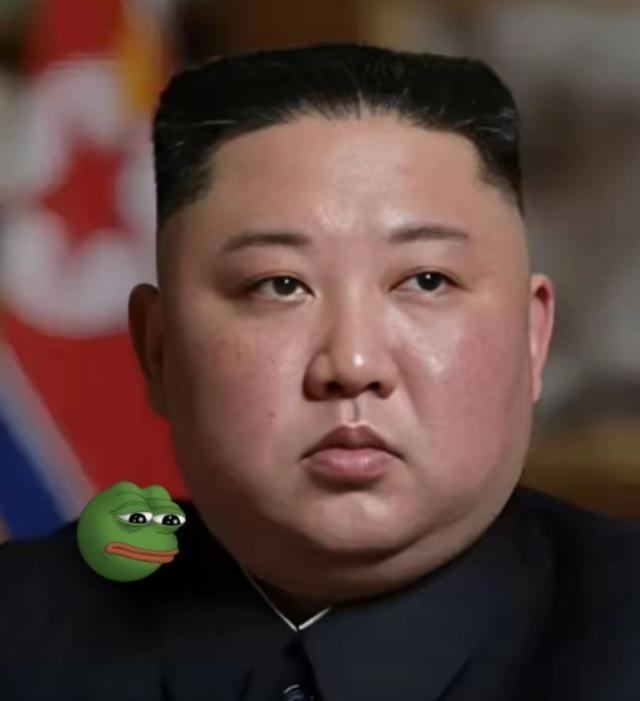 朝鲜宣布了！朝鲜中央通讯社发布一则简短却意味深长的消息：应俄罗斯联邦外交部和白俄