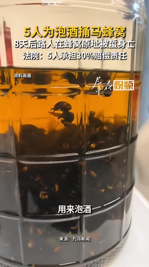 “冤不冤！”8月5日报道，湖南岳阳，5位村民为了泡酒，相约晚上一起去捅马蜂窝。他