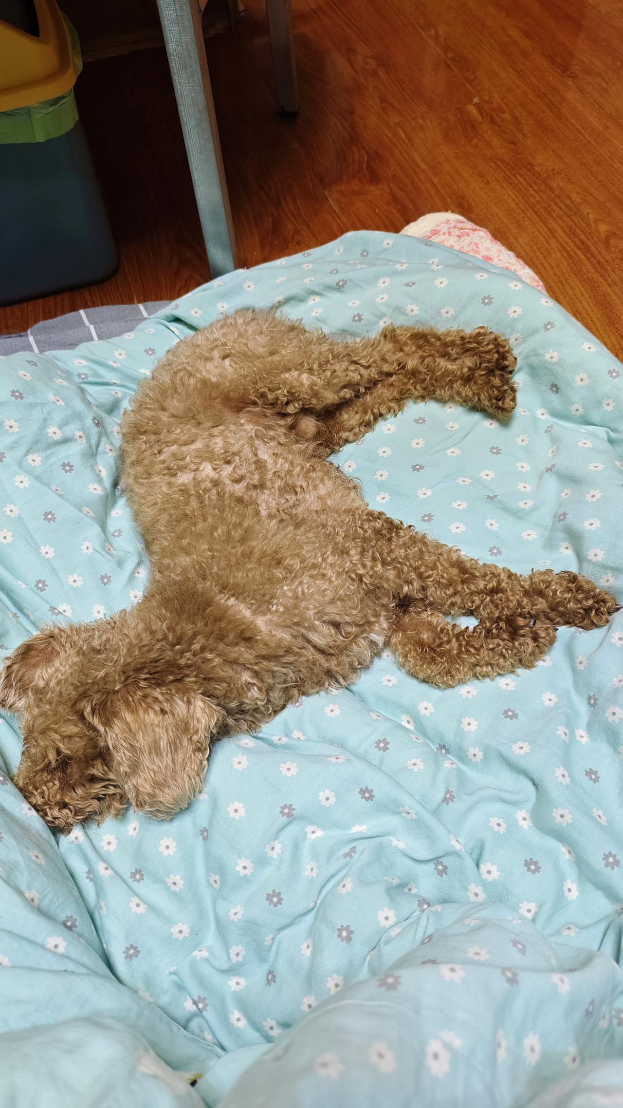 只想呆在被窝里