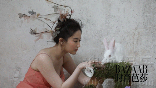 听说10点有预热，我准备好了刘亦菲