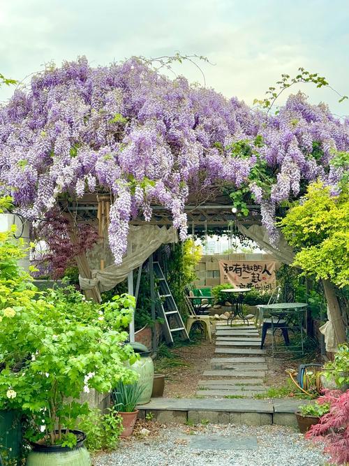 上联：堤畔柳丝摇落寒冬三分雪
下联：架上藤络飞流阳春一挂瀑