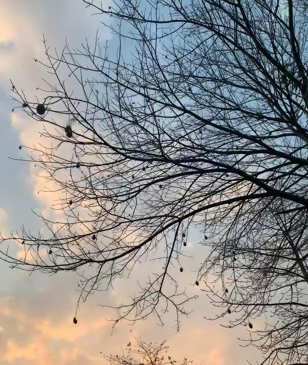 【神开头】二姑住院动个小手术，却跟我谎称在凤凰旅游，这届中年人连生病都要藏着掖着