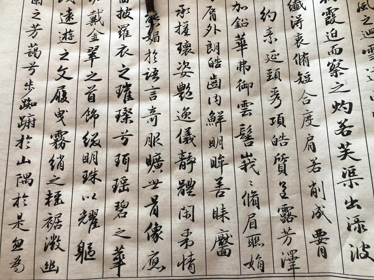 毛笔练字
赵孟頫《洛神赋》继续中～