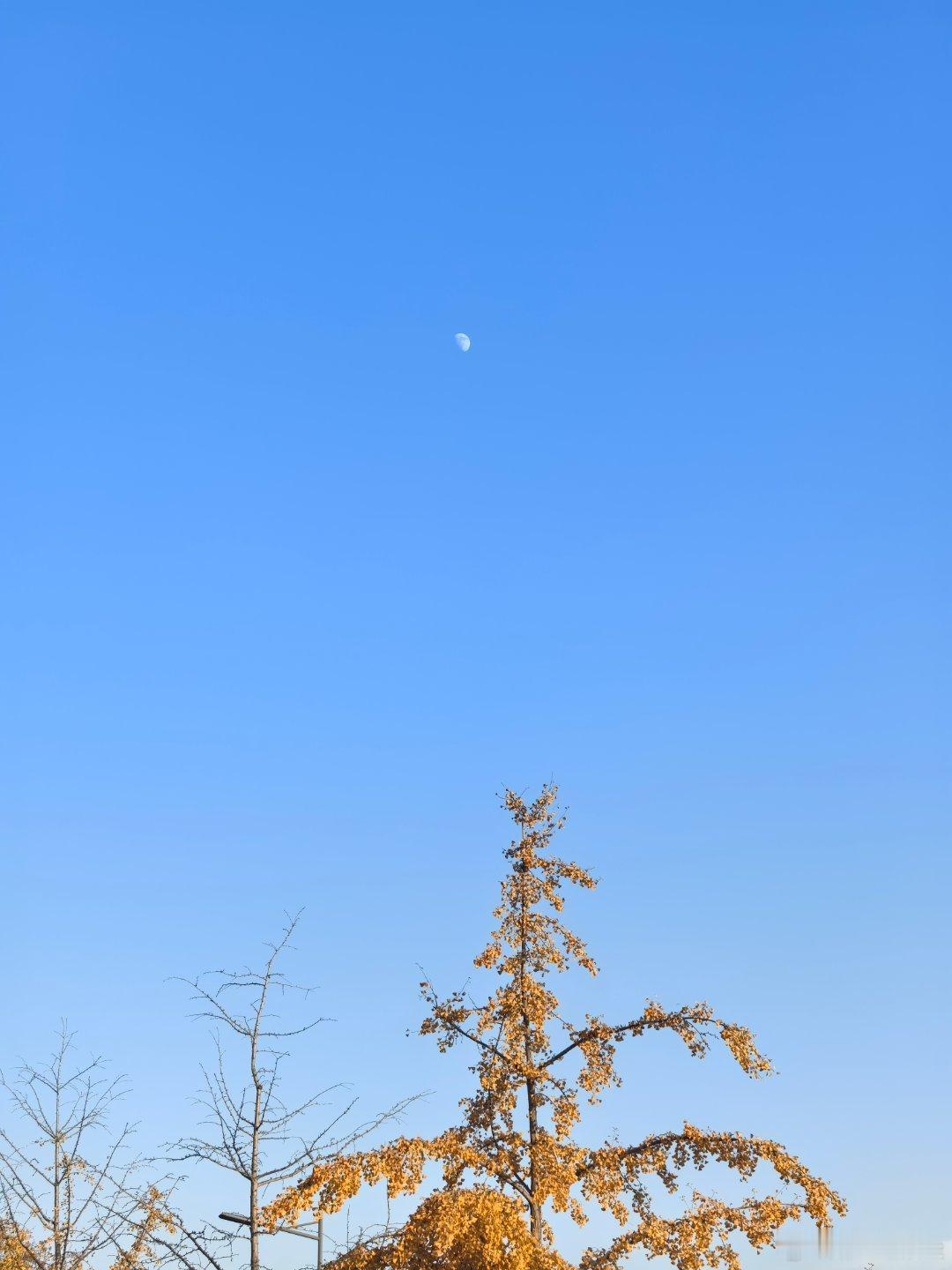 一条plog告别十一月就这般五彩斑斓吧！ 