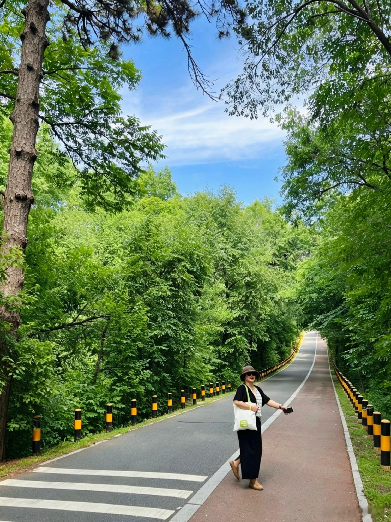 旅行 咱也走在了青松岭，还淌了水，好过瘾！ 长春·净月潭国家森林公园-水堤大坝