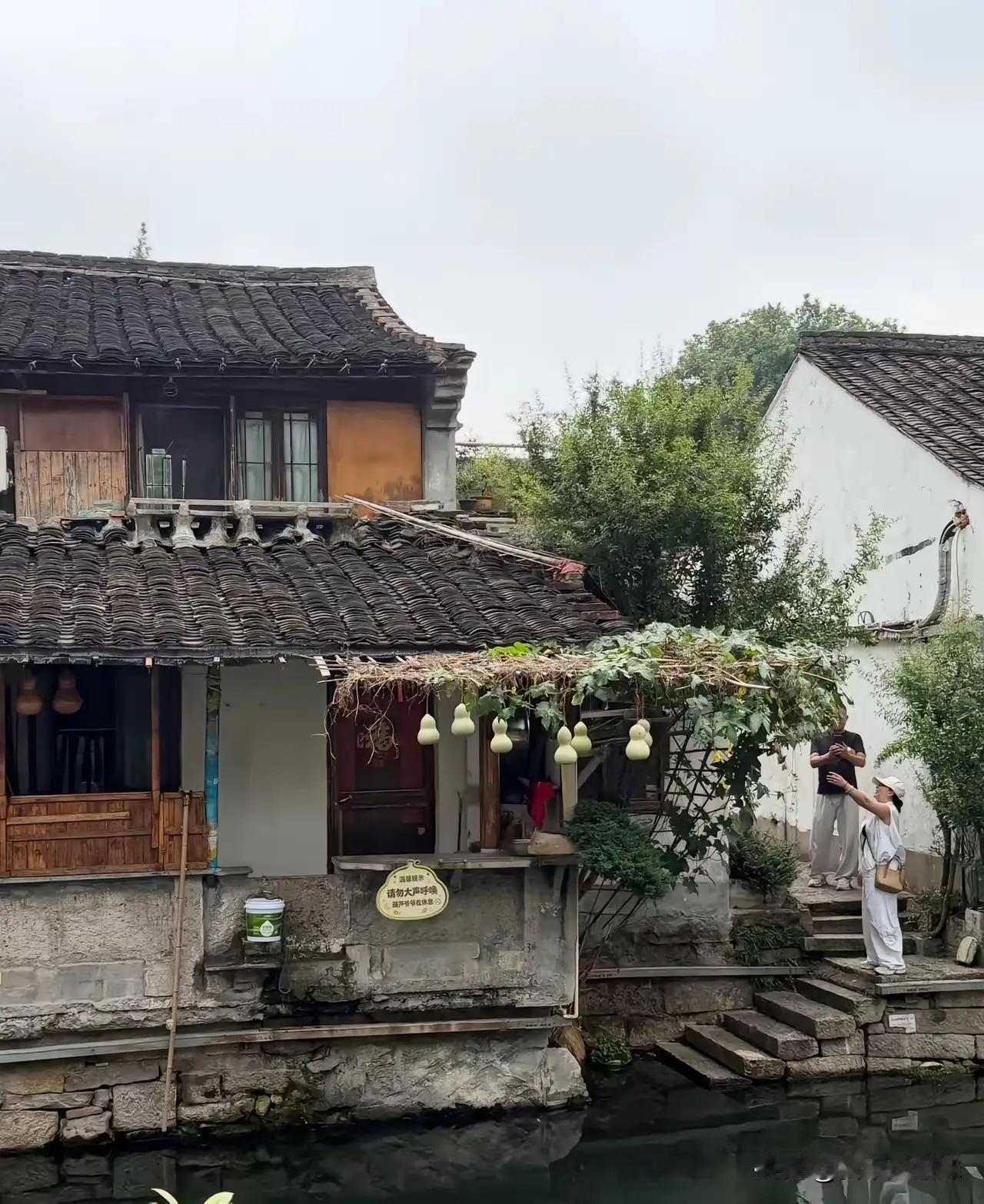 网络就是这么奇怪，一不小心就成了网红，可往往他们都有一个共同的特点就是“坚持干一