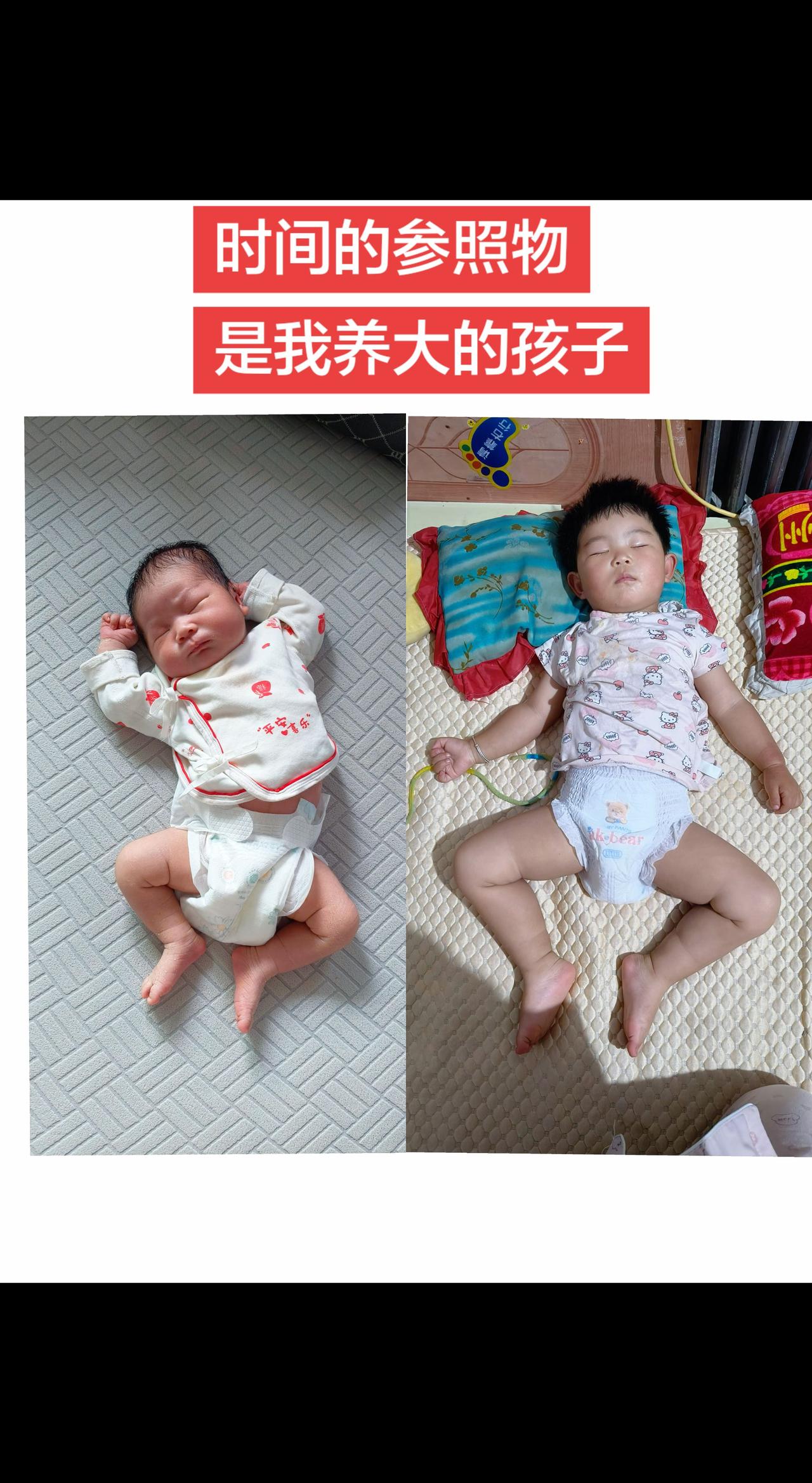 如果照片会说话!你会长大到不再需要我的怀抱
而我会一遍遍翻看相册里那个小小的你