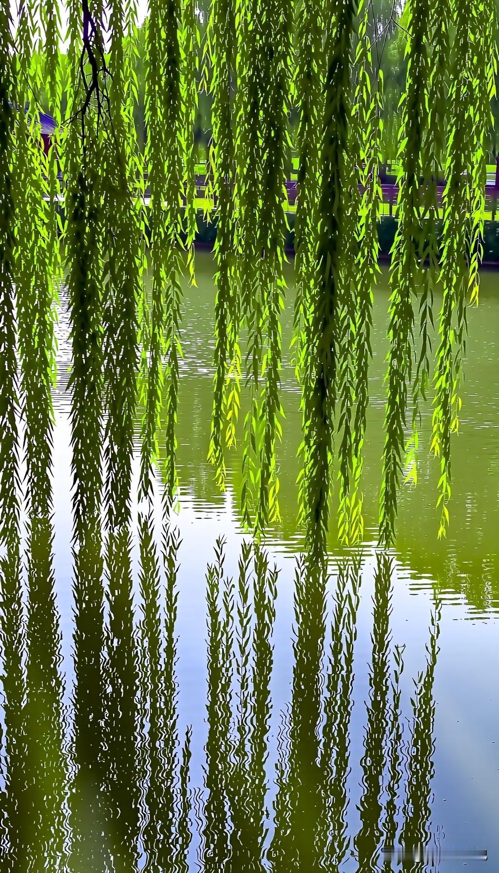 上联:俯看清溪鱼戏水
下联:眺望对岸柳舞风