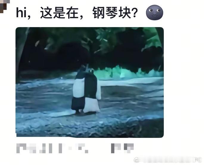 俩棋盘格互相搀扶着离开 这届网友多损呐！是谁说我们珩扫内鱼像棋盘格配色的？！哈哈