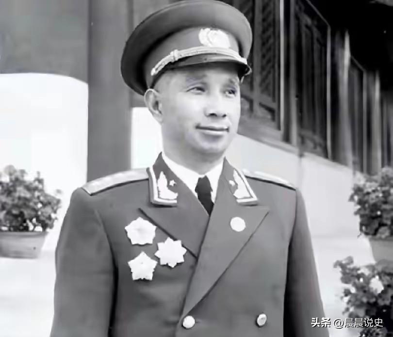 湖南乡下老太太正在喂鸡，突然来了一队人：您儿子当大司令了，接您去南京享福，二十三