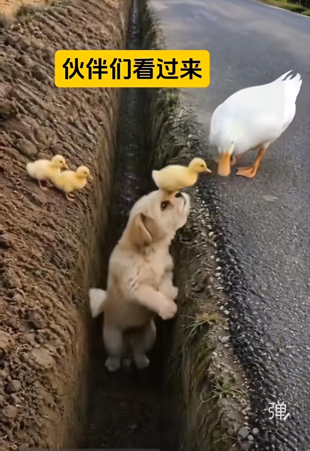 英国16日宣布，依据《钢铁产业（国有化）法案》已将英国钢铁公司国有化，接管这家此