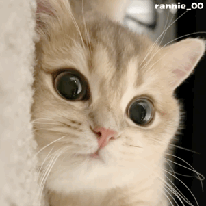 近8成职场女性生理期带痛上班 看到数据才知道，原来有这么多女生和自己一样，每月都