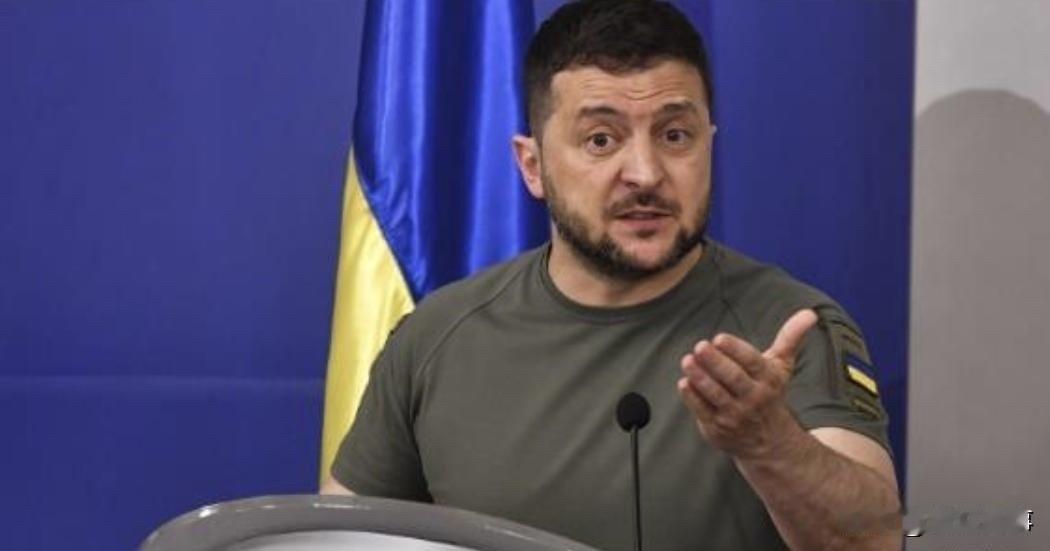 被卖了，还要帮着数钱？泽连斯基心里苦啊！
据外媒报道，乌克兰总统泽连斯基日前表示