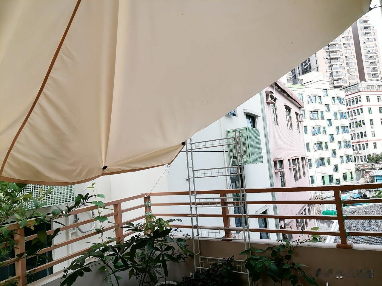退休第626天，早安。

听说台风红霞要来了，上午，是暴雨狂风前的平静。

我趁