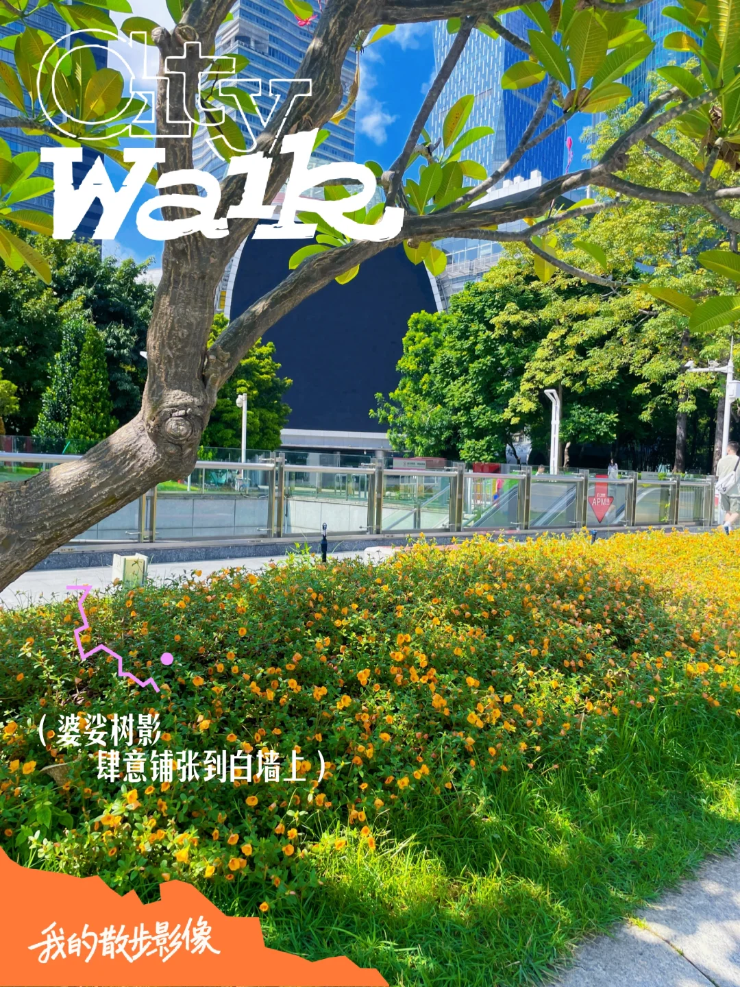 工作日期间，我的户外精神保护区