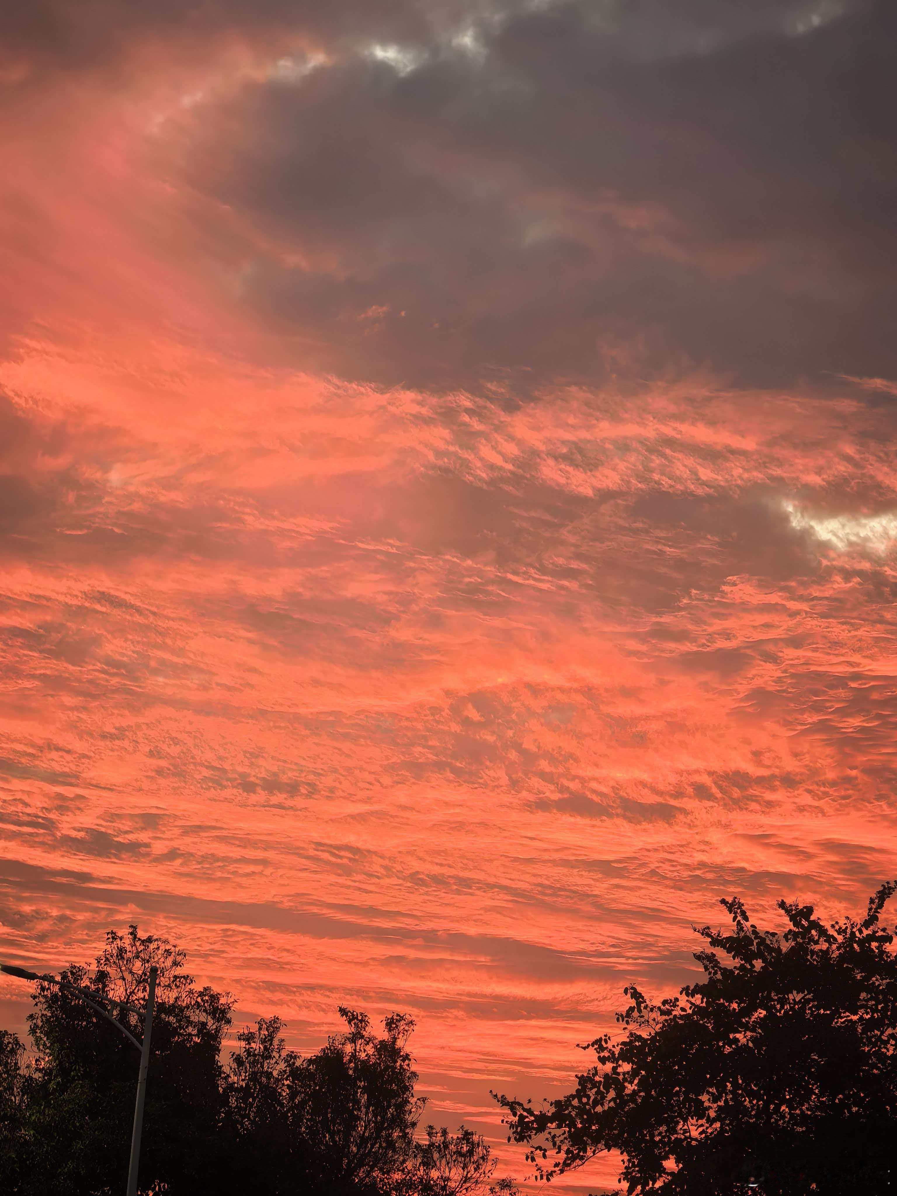 家大棚旁边有块地被圈起来搞亲子采摘，有各种蔬菜，有挖红薯，拔胡萝卜，捡鸡蛋，抓鸡