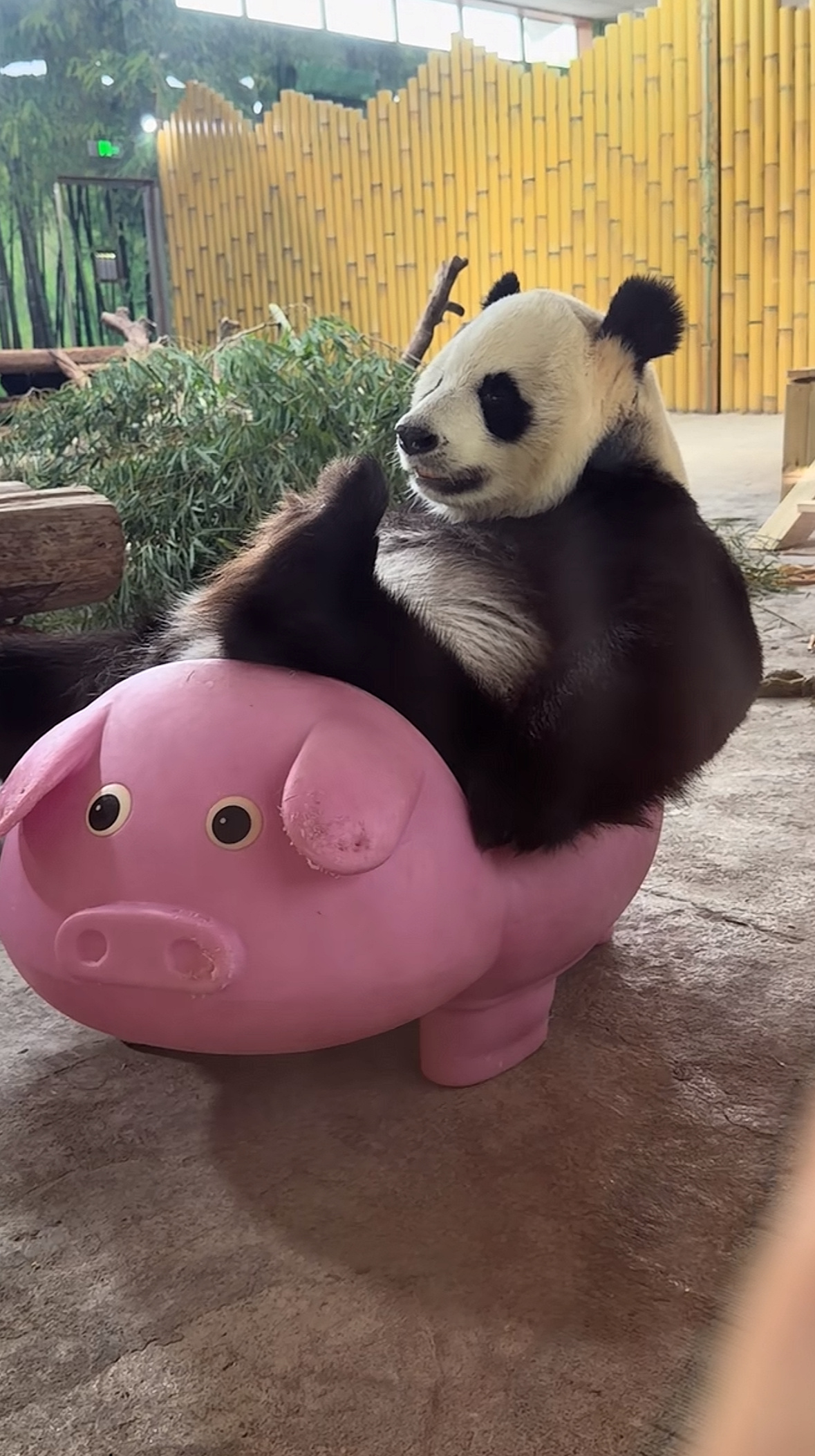 晴姐看着还是这么霸气 