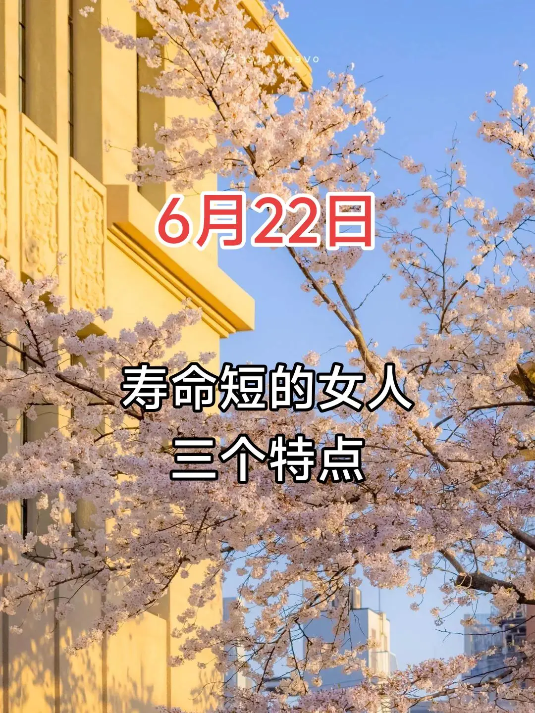 我曾经发了疯地想只是梦一场