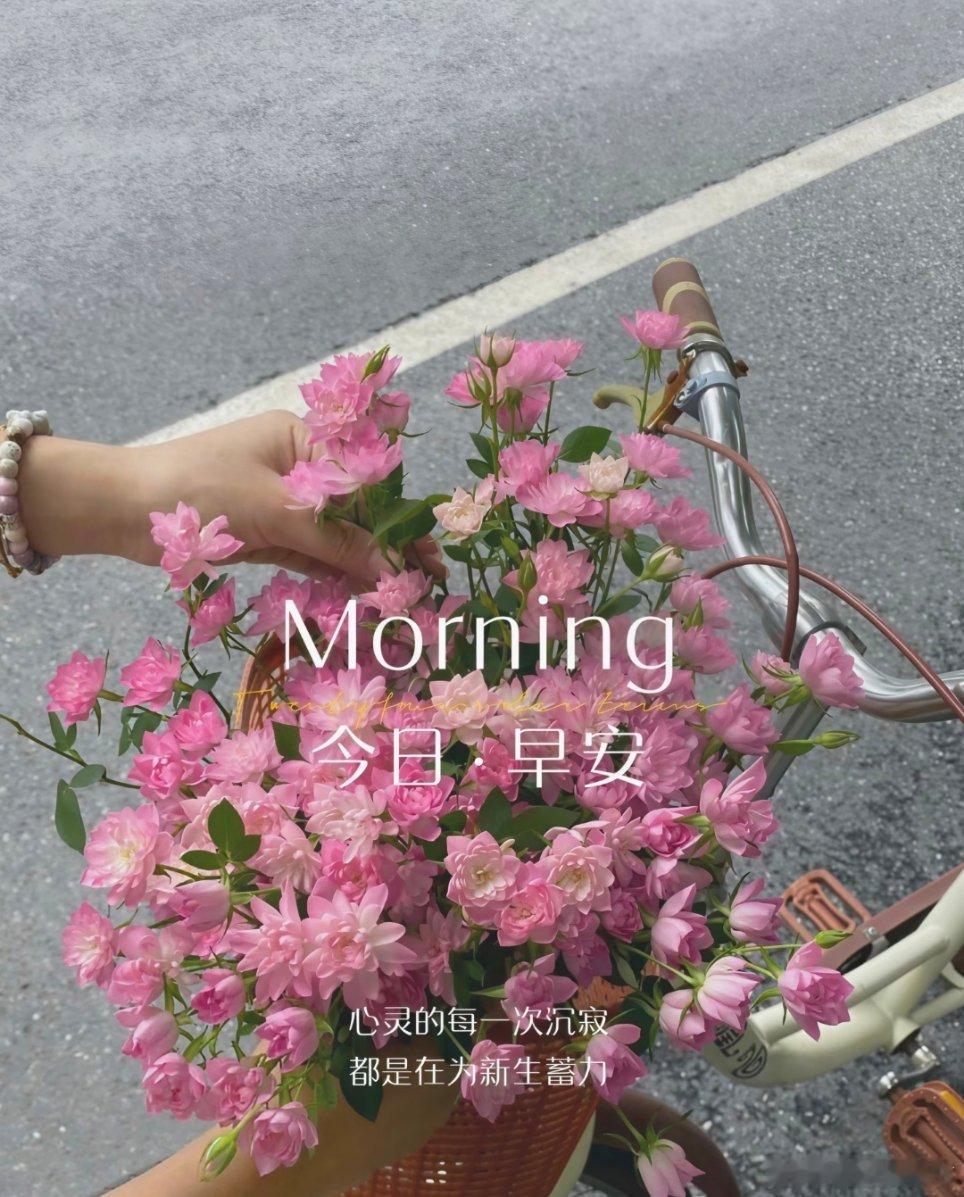 早安[超话]早安 🔆 ᴹᴼᴿᴺᴵᴺᴳ🌿日子就像相机镜头，定格哪里，它就珍藏哪
