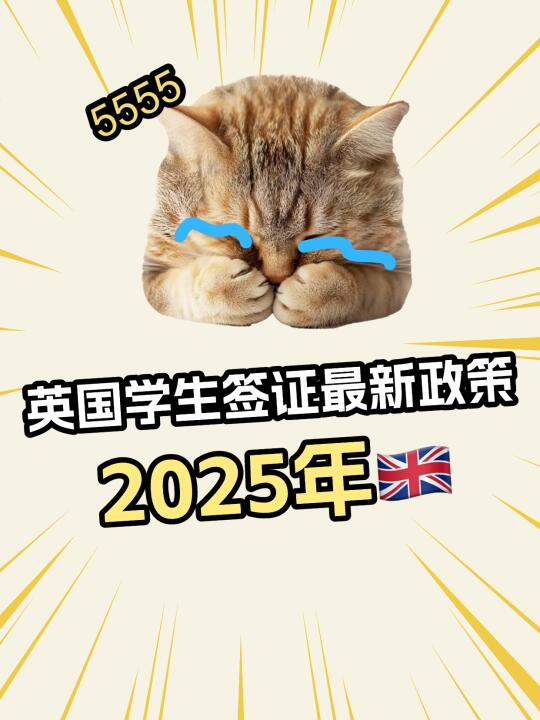 2025 年英国学生签证最新政策💡
