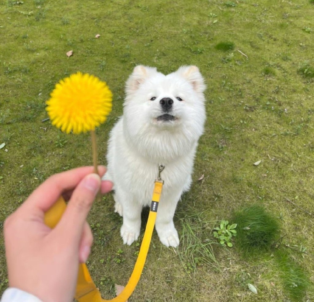 日常转发好运，你想要的很快就会到来。 