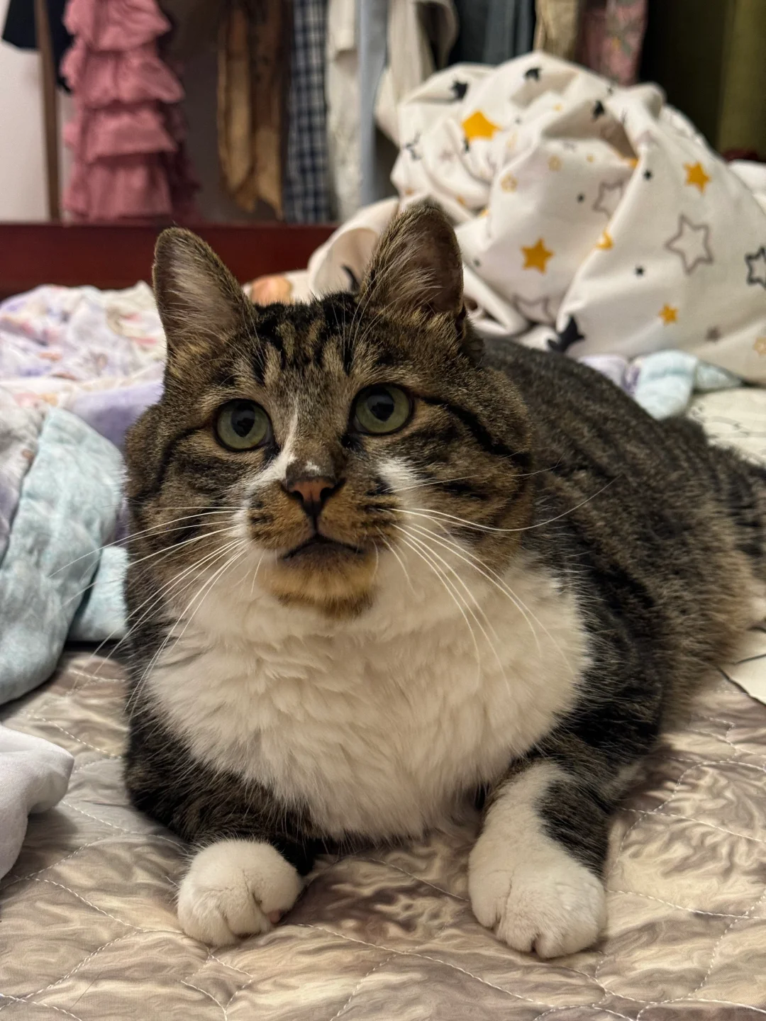 不删！教会一个算一个（对耳螨）