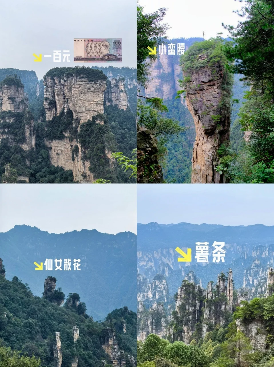 张家界国家森林公园｜超详细两日游攻略 ⛳