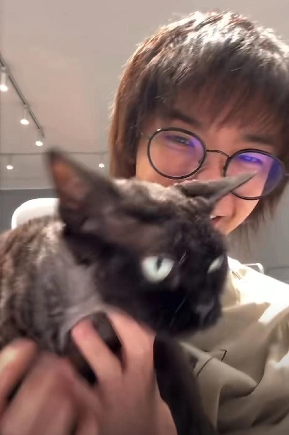 华晨宇喂猫吃巧克力引发争议，华晨宇今年生日的时候，发布了一条视频，视频中他的宠物