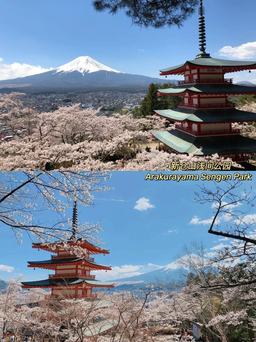 超级出片，富士山一日游不走回头路！