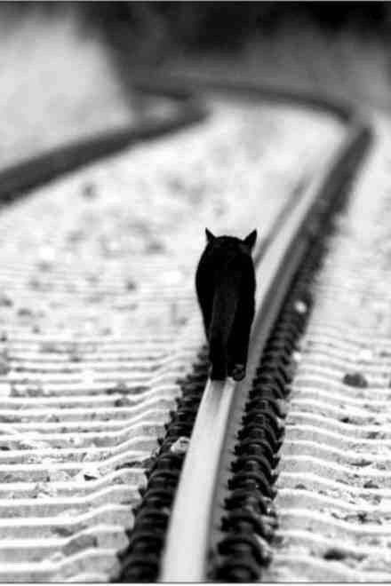 觉性，可以用来阻断过去的自己；觉知，可以产生现在的自己；觉行，可以用来创造将来的