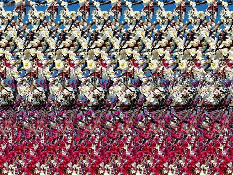 真亦假时假亦真，平面变立体，三维立体图。请你把1—6张图答案一一对应。茅草屋、环