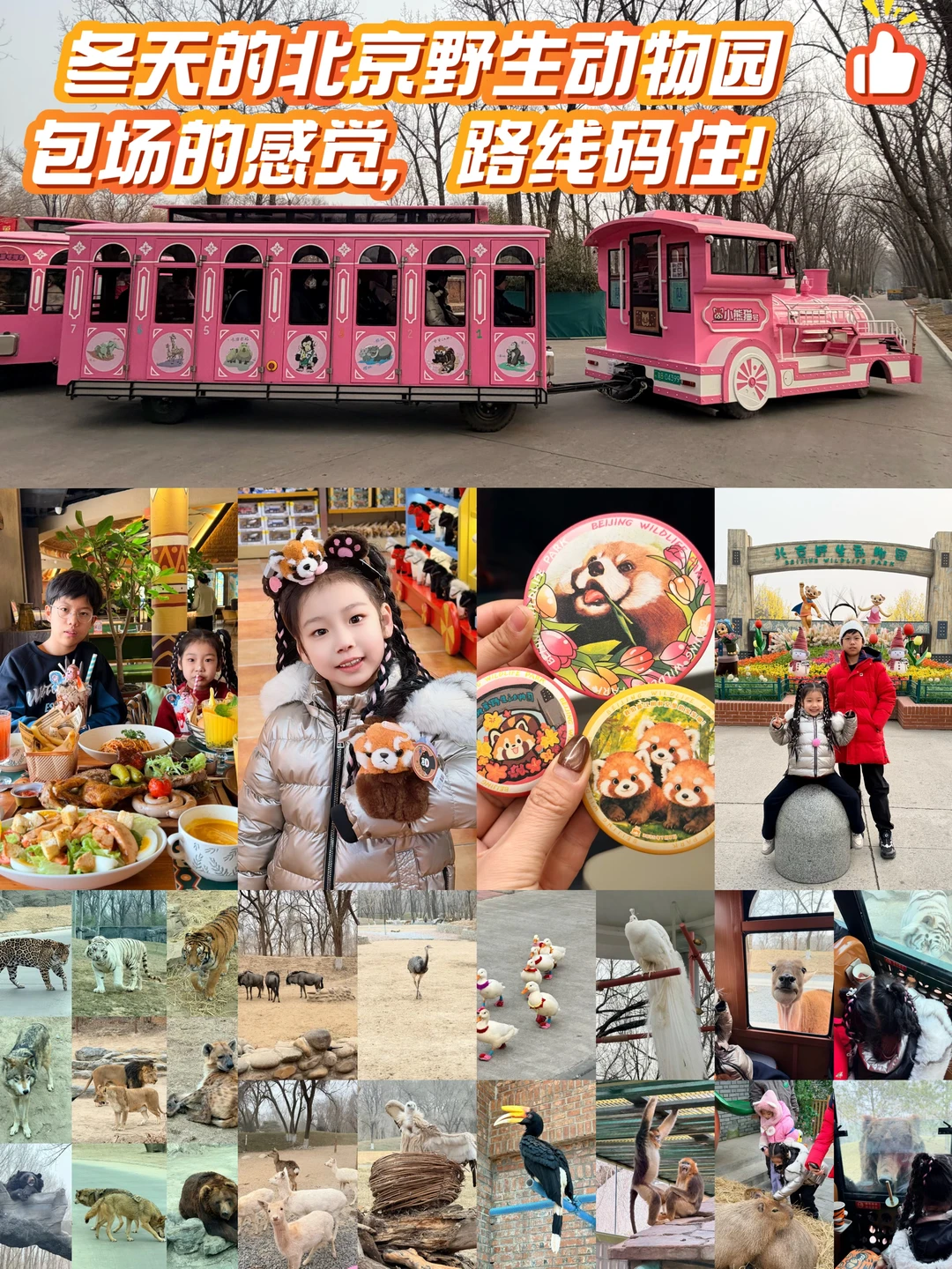 冬天逛北野，有一种包场体验，周末可冲！